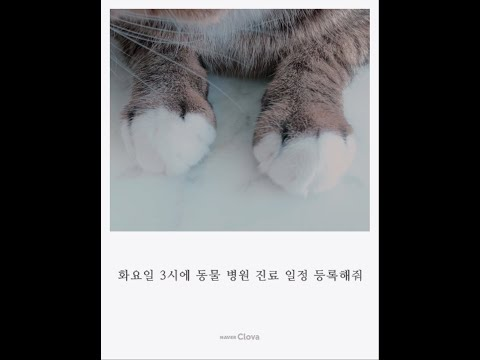 클로바 & 일상들 - 병원 진료 편