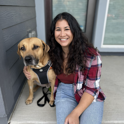 The Impacts of an Insecure Software Supply Chain