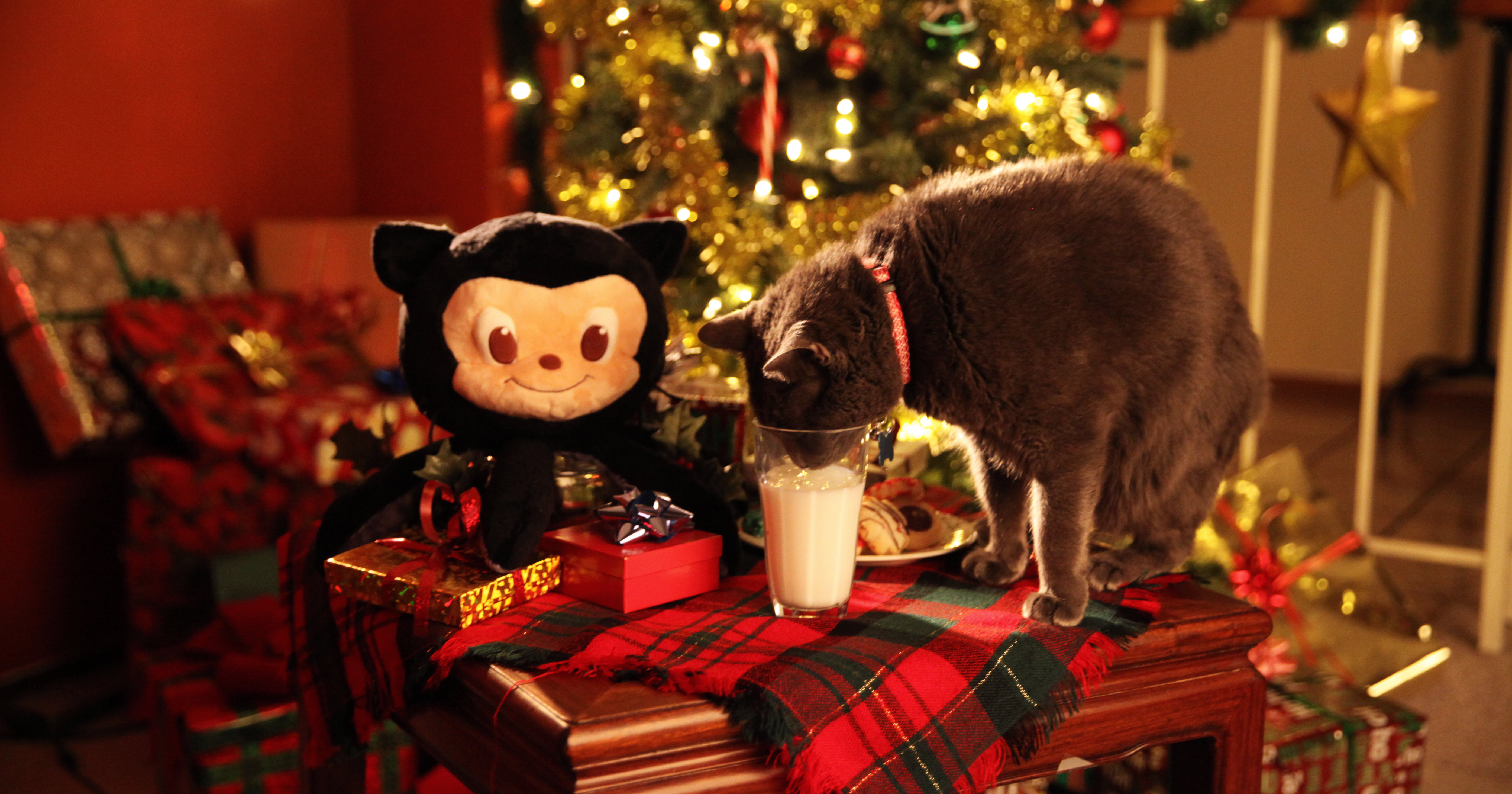 New in the shop: The Octoplush