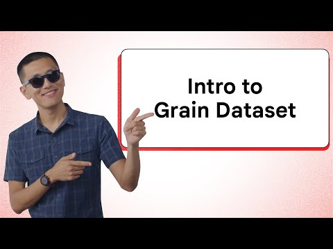 JAX Data Loading: Using the Grain Dataset API for Simple and Declarative Data Processing