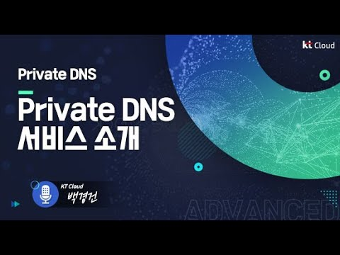 [kt cloud Advanced] Private DNS