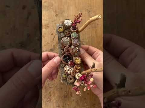 A fairy feast so cute, it hurts my heart (via @maryinthefairyland895)