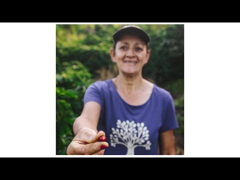 Bean Voyage - WhatsApp - Community Voices