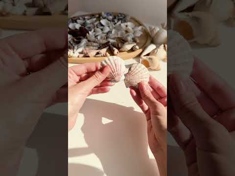 Reel of the Week | the beachiest bouquet via @stacy.creates_ on IG