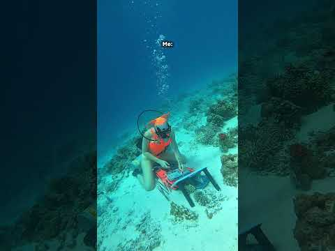 Reel of the Week | Creating Underwater Art