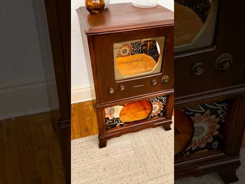Vintage TVs turned to into unique cat beds