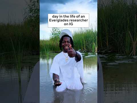 climate scientist breaks down biology in the Everglades