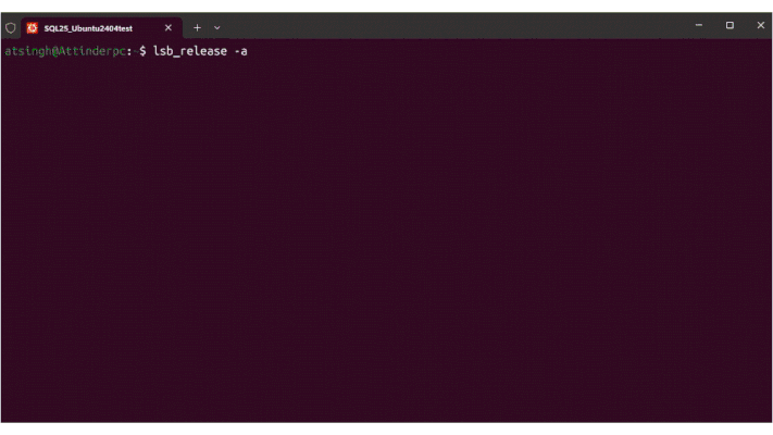 SQL Server 2025 Preview: Now Supporting Ubuntu 24.04 and TLS 1.3