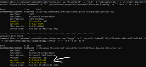 Addressing .Net EOL installations for Windows Admins
