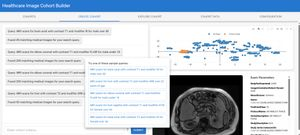 Using natural language to build healthcare imaging cohorts for research
