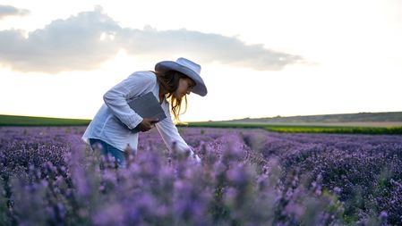 New in Microsoft Marketplace: February 5, 2026