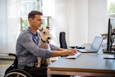 Windows Autopatch update readiness brings insights to IT