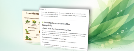 Make spring gardening simple with help from Microsoft Copilot