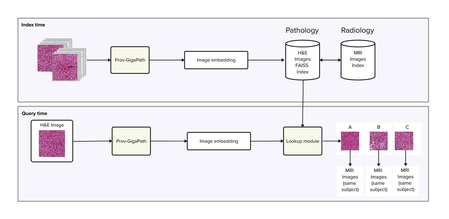 Image Search Series Part V: Building Histopathology Image Search with Prov-GigaPath