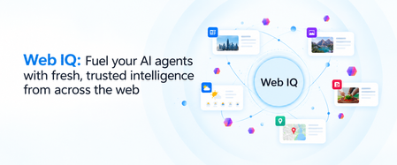 Web IQ: Web Search and Grounding APIs for AI Agents
