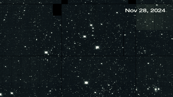 Using Accelerated Computing to Live-Steer Scientific Experiments at Massive Research Facilities