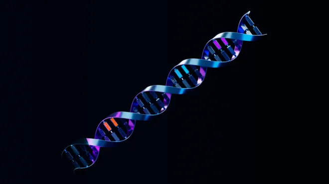 Efficient MoE Training for Biological Foundation Models