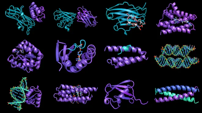 Design Proteins with RFD4-Proteina Using Reward-Guided Inference-Time Search
