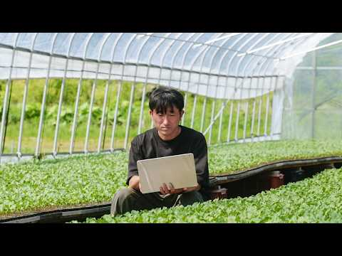 How Small Business Owners Use ChatGPT | Hiroki’s Story