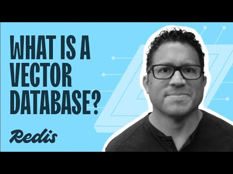 What is a Vector Database? Explained Simply with Real-World Examples