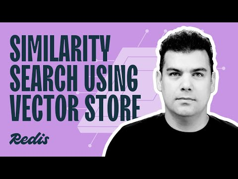 Similarity Search using Vector Store