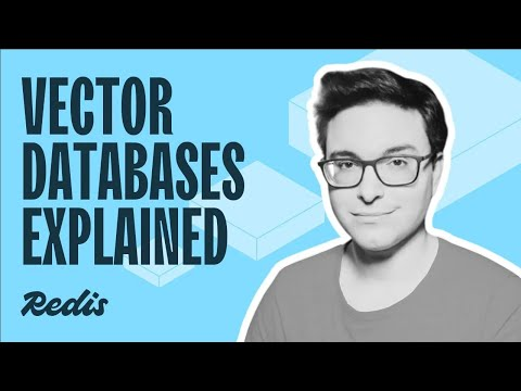 What is a vector database?
