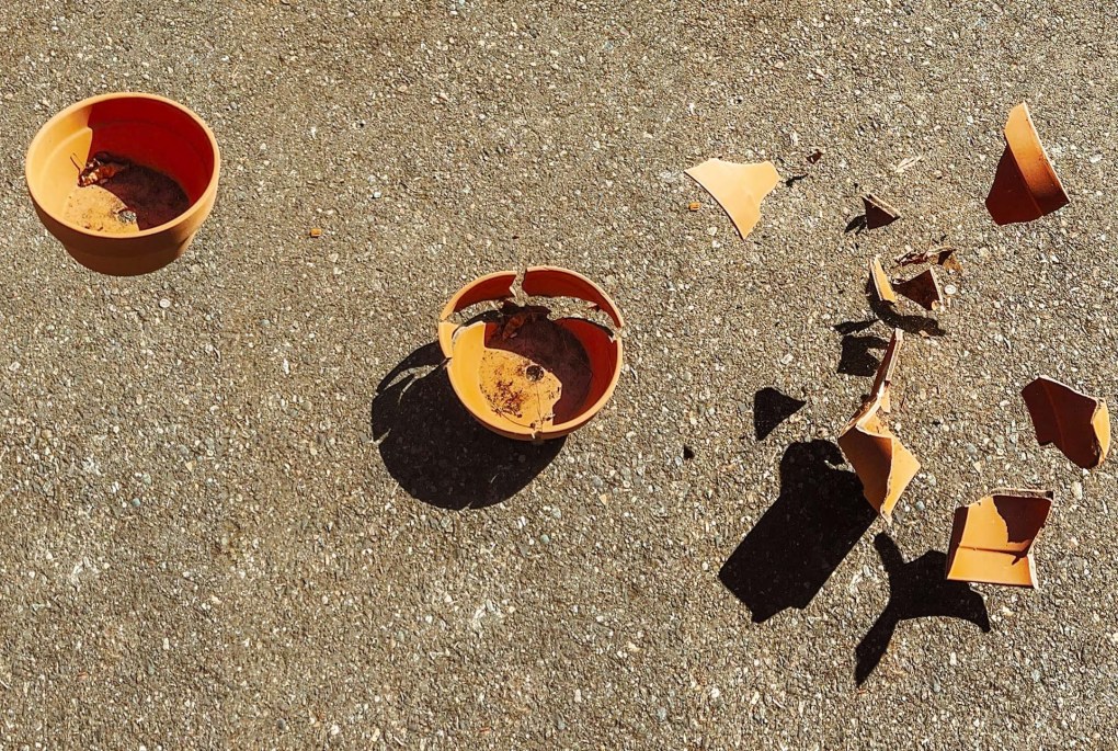Break Stuff on Purpose