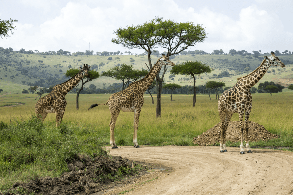 Client Tracing: Understanding Mobile and Desktop Application Performance at Scale