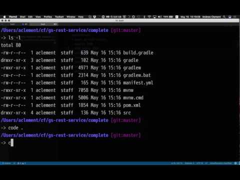 Demo: Cloud Foundry Manifest Editing in Visual Studio Code