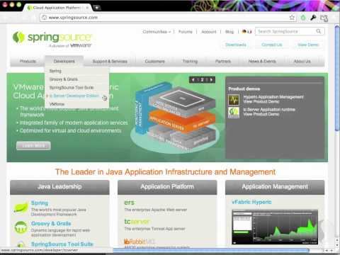 SpringSource Spring Insight 1.0 Demo