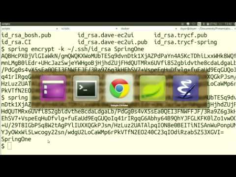 Spring Boot and Netflix OSS