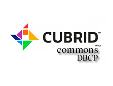 CUBRID Internals: 드라이버 커넥션 관리