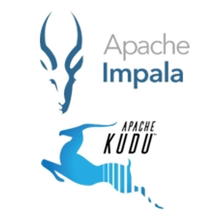 Open Source 기반의 Big Data Platform 구축 - Apache Kudu ＆ Impala
