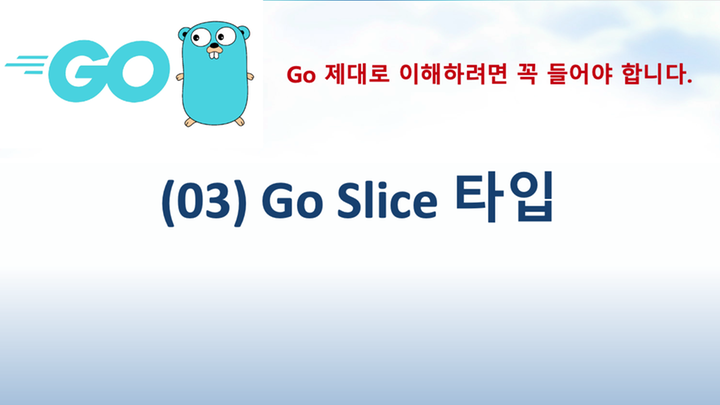 (go-03) Go Slice 타입
