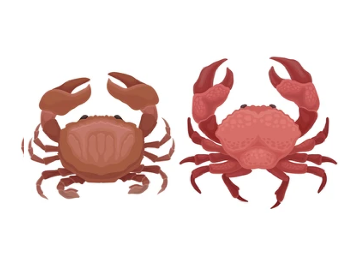 Decapod 를 이용하여 Kubernetes 상에 MSA Application 배포하기