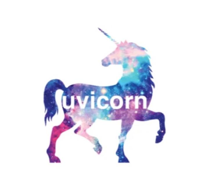 [Python] Uvicorn에 대해서