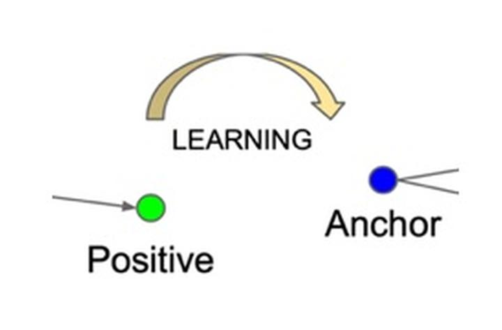 AI foundation 모델의 근간이 되었던 대조학습을 알아보자