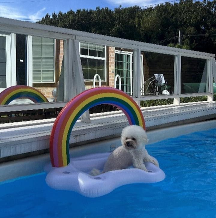 Azure에서 Open AI 기능 사용하기