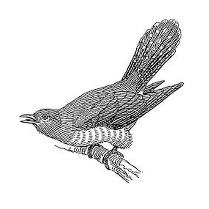 Cuckoo Filter를 사용하여 A.에이전트가 사용자 접속 여부를 실시간으로 알아내는 방법