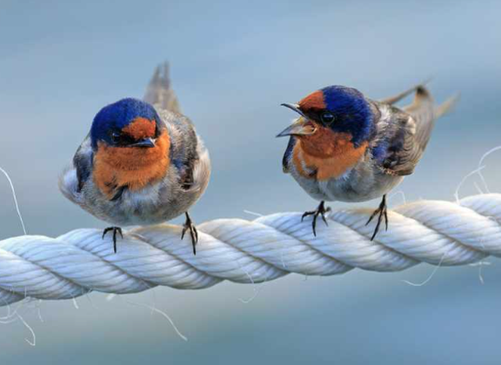 PoE(Panel-of-Experts), 더 나은 문제 해결 방법을 제시하는 프롬프트 엔지니어링 기법