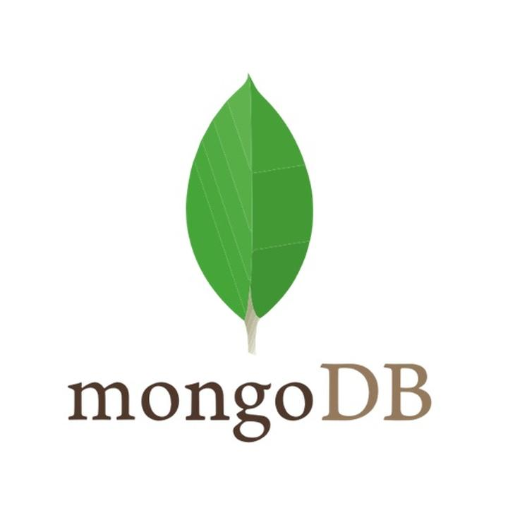 mongoDB Session 사용하기