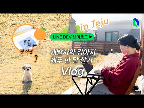 제주도에 미니 사무실 차리기 🌴 |  LINE DEV Vlog
