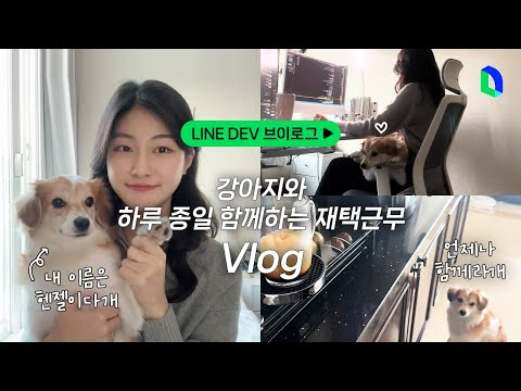 댕댕이와 함께하는 프런트엔드 개발자 재택근무 일상 🐶  | LINE DEV Vlog