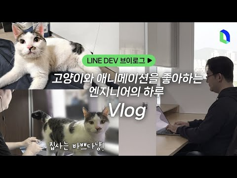 고양이와 함께 재택근무하는 서버 엔지니어  | LINE DEV Vlog