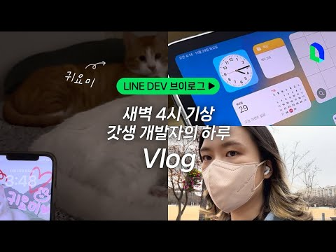 새벽 4시 기상! 갓생 iOS 개발자의 하루🌞 | LINE DEV Vlog